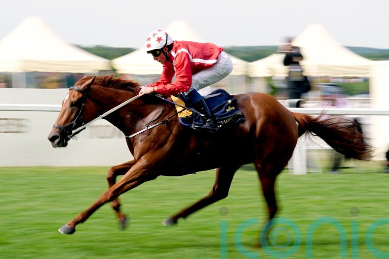 Buick booked for Saffron Beach reunion at Newmarket