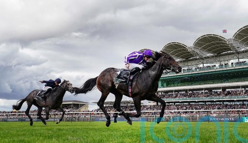 Blackbeard in Breeders&rsquo; Cup frame following Middle Park glory