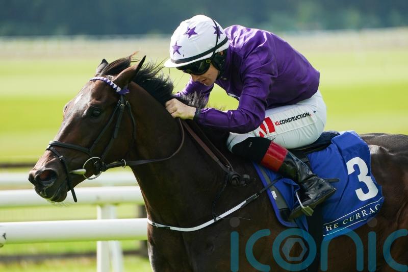 Doncaster possible for Crypto Force if ground suits