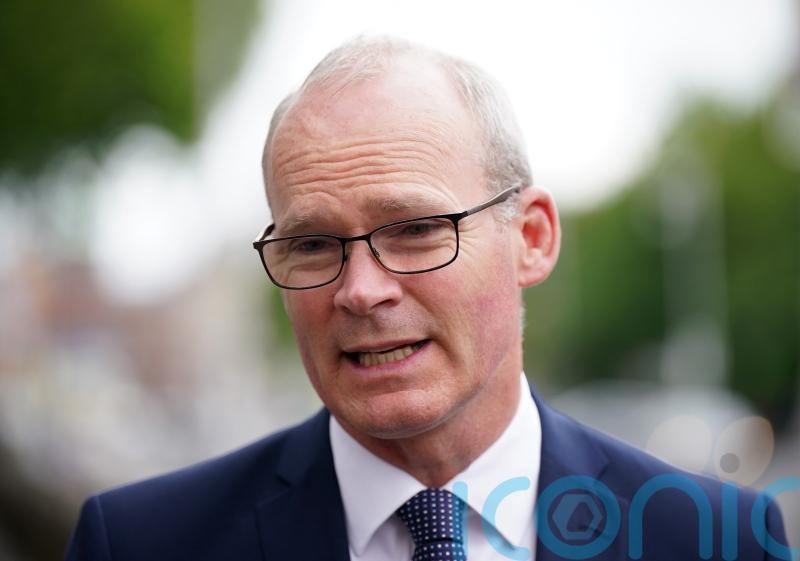 Referendums which back Russian rule in Ukraine a sham &ndash; Coveney