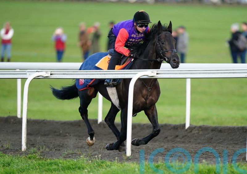 Salisbury all set to usher in new era for racing as Educator runs for the King