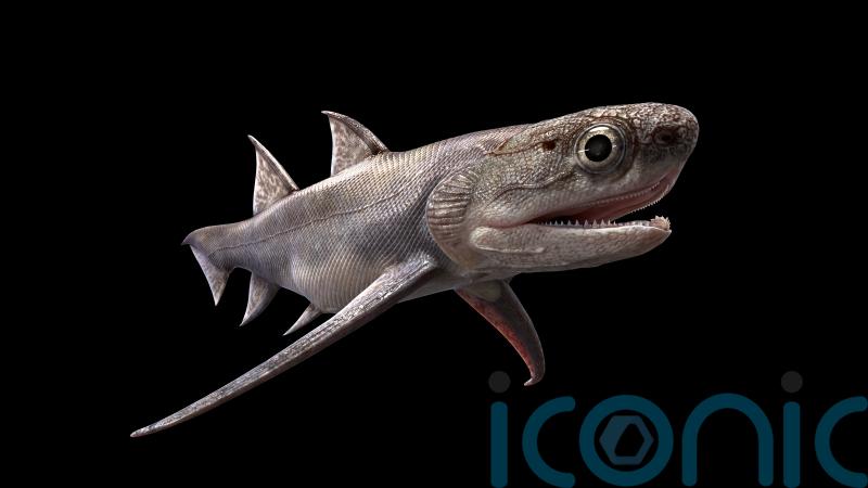 Fossil teeth discovered belonging to 440 million-year-old creature