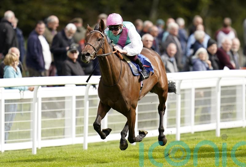 Beckett bags Salisbury treble ahead of big weekend in France