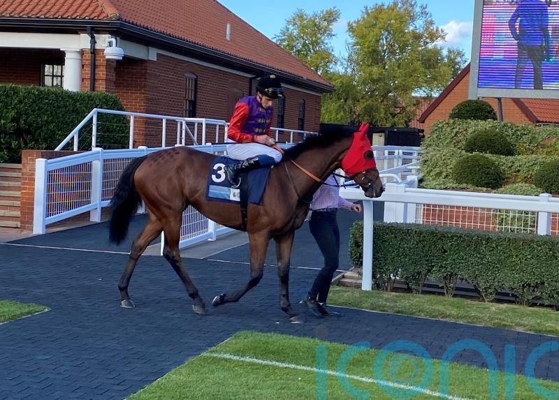 No royal winner for the King as Saturday runners are unplaced