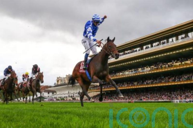 Blue Rose Cen blossoms in Boussac for Christopher Head