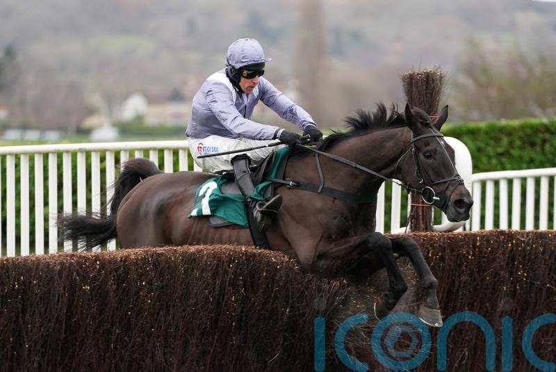 My Drogo unlikely to be back before spring