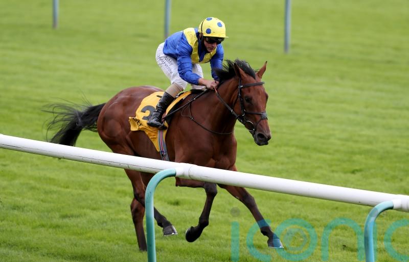 Favourite Moon set for Newmarket return in Cesarewitch