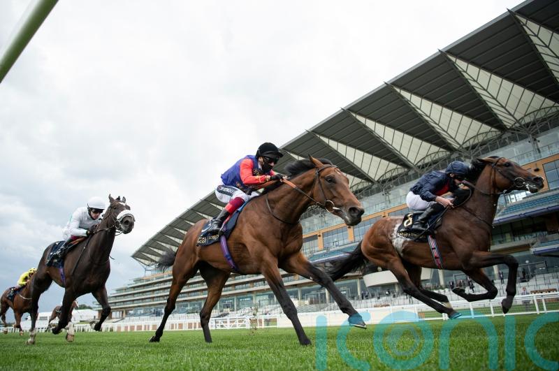 First Receiver carries the King&rsquo;s colours to victory at the Horse of the Year Show