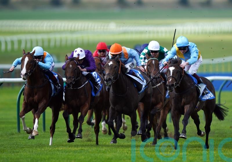 Rumstar keeps Portman&rsquo;s perfect Cornwallis record intact