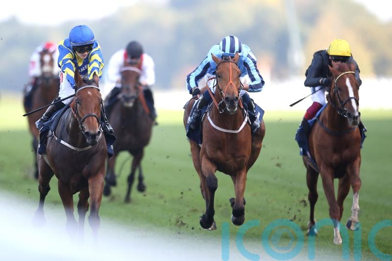 Ellison looking to 2023 with Tashkhan