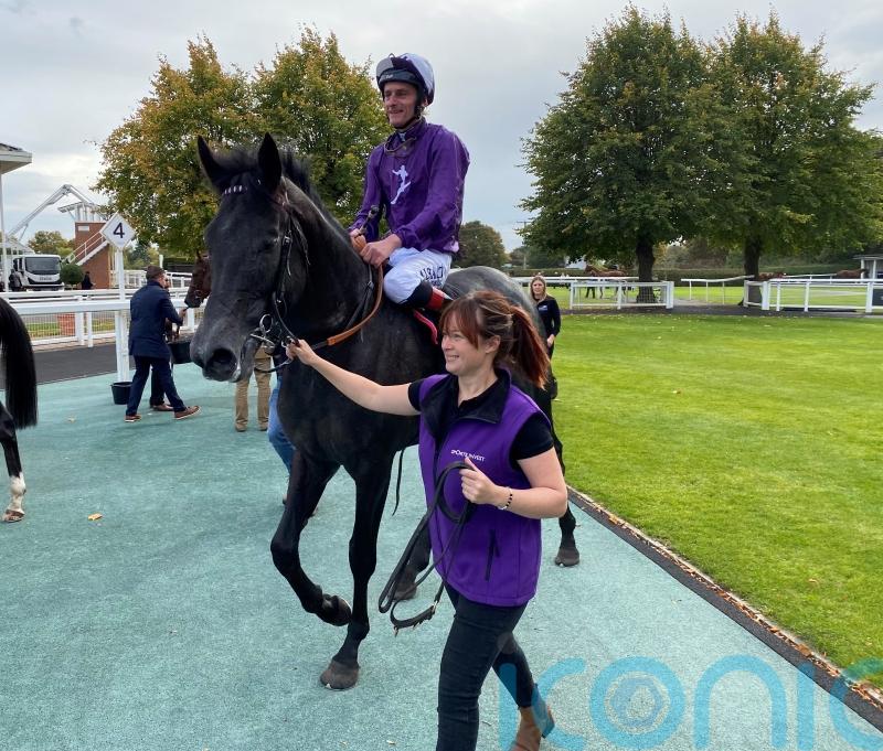 Exciting King Of Steel remains in Vertem Futurity picture