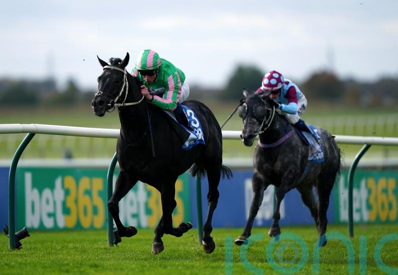 &lsquo;All systems go&rsquo; &ndash; Hills has Breeders&rsquo; Cup target for Pogo