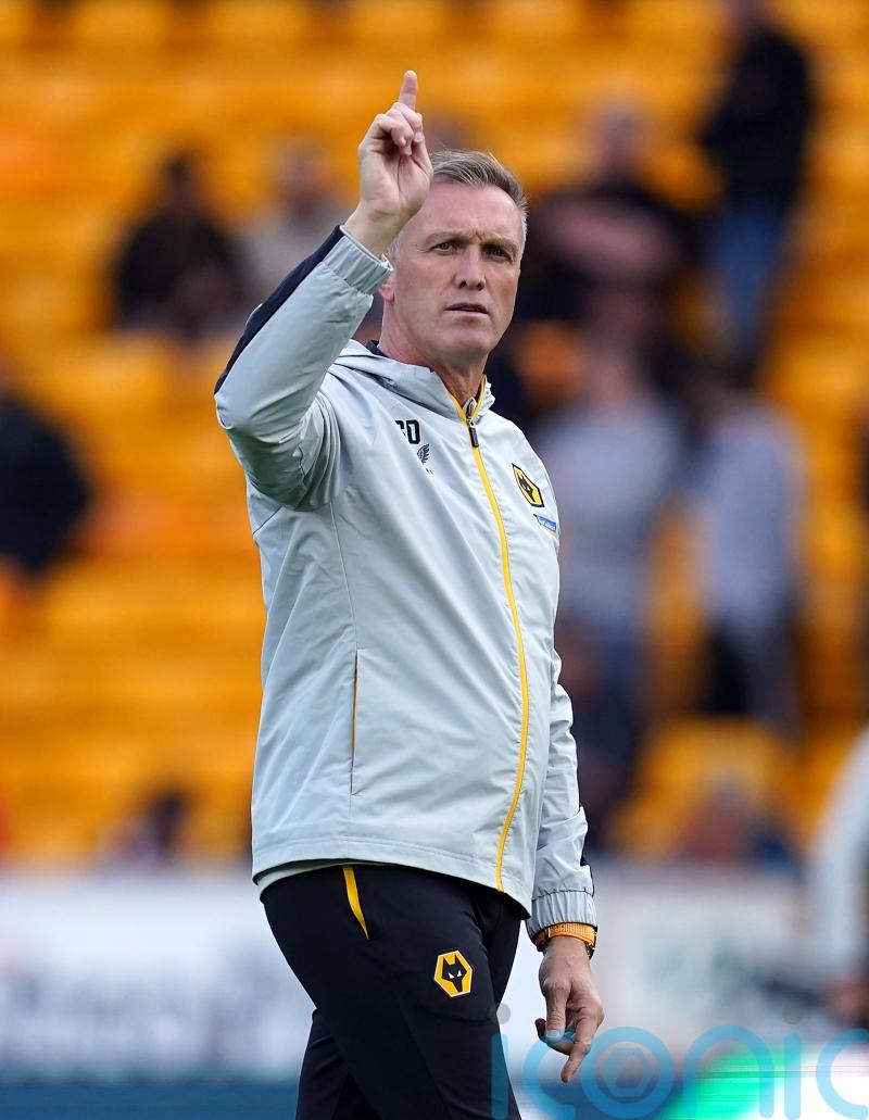 Interim boss Steve Davis will lead Wolves for the remainder of the year