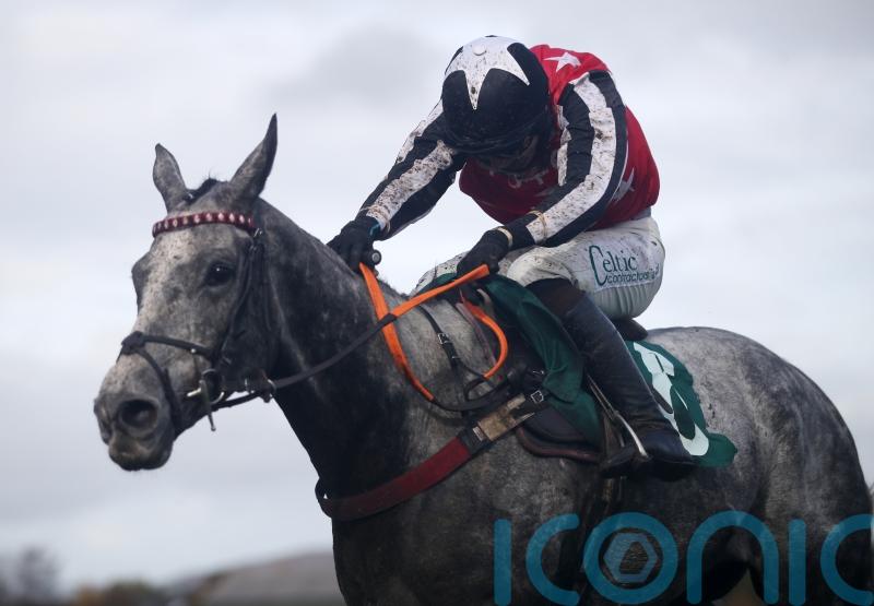 Straw Fan Jack is Cheltenham beauty for Sheila Lewis