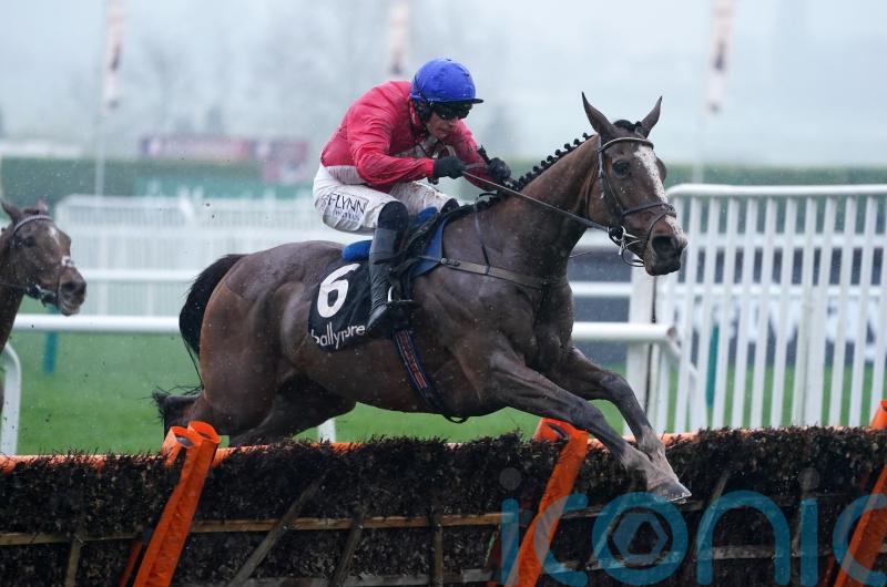 Sir Gerhard given Champion Hurdle option