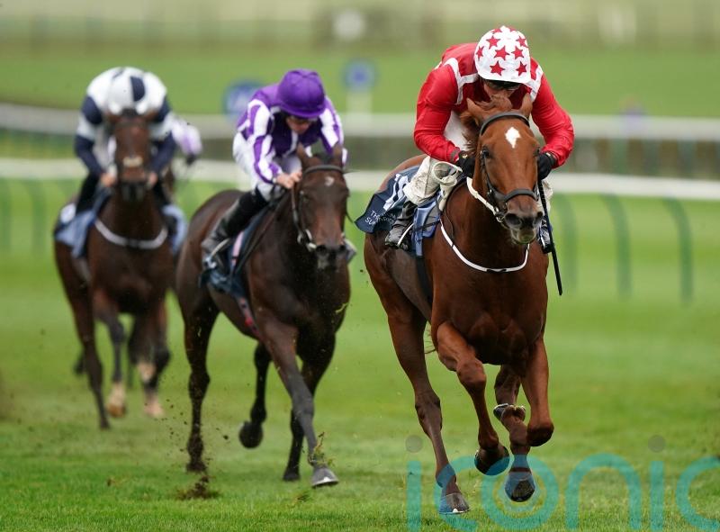 Saffron Beach ruled out of Breeders&rsquo; Cup bid