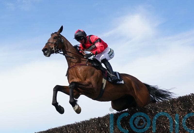 Ahoy Senor team left to regroup after Charlie Hall disappointment