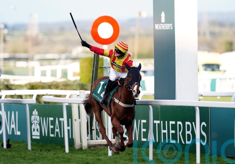 Neil King waiting on easier ground for stable star Lookaway