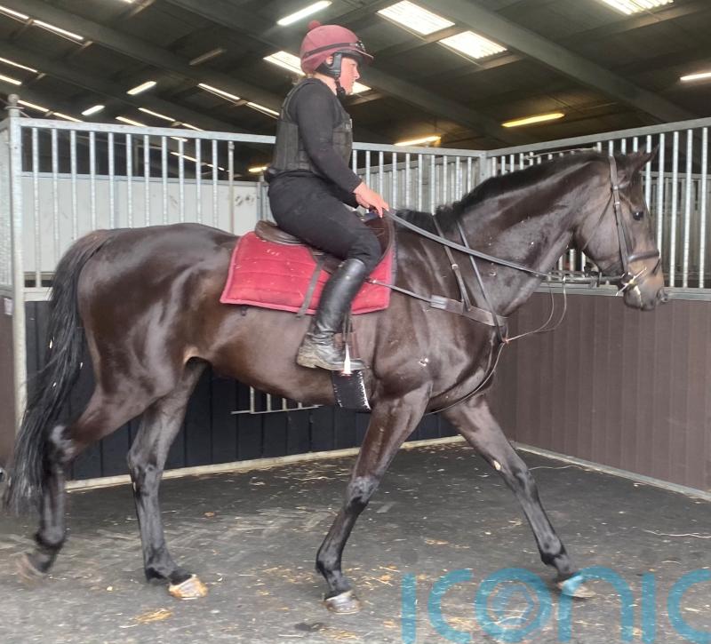 Martin has much to look forward to after Bear Ghylls reappearance