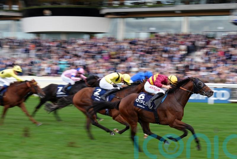 Bayside Boy retired to stand at Ballylinch Stud