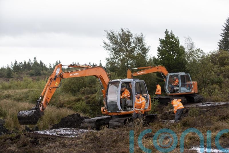 Search of bog for 1975 IRA victim Columba McVeigh is paused for winter