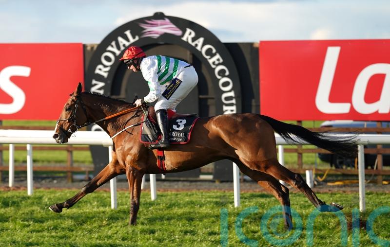 American Mike up in trip for hurdling bow at Down Royal