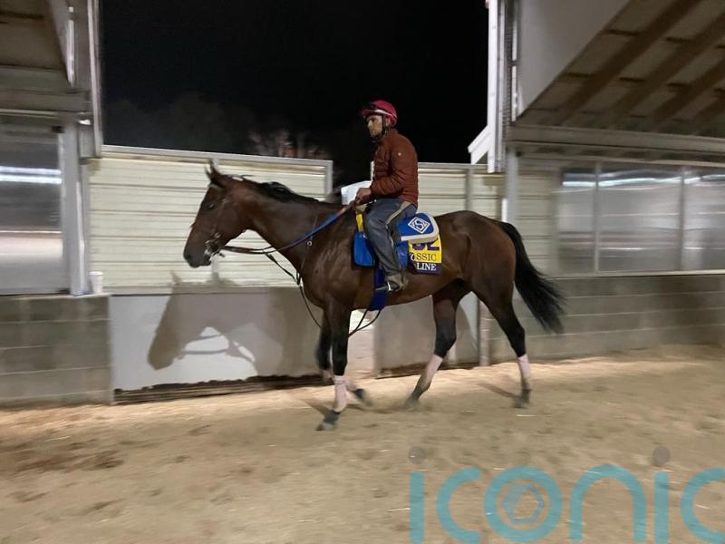 History awaits for unbeaten Flightline