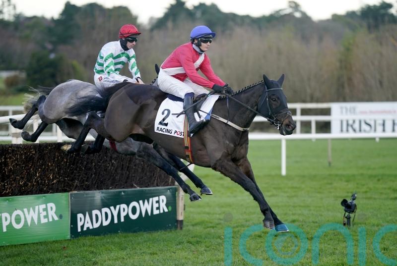 Ferny Hollow and Gentleman De Mee set for weekend return