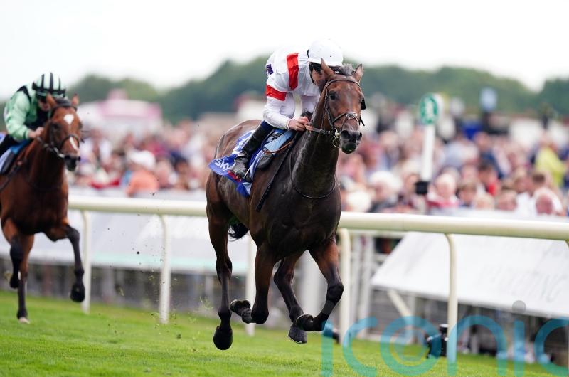 Ferguson has Group One ambitions for Deauville Legend