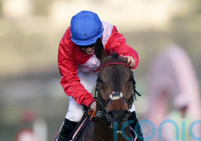 No reason so far for A Plus Tard disappointment &ndash; De Bromhead