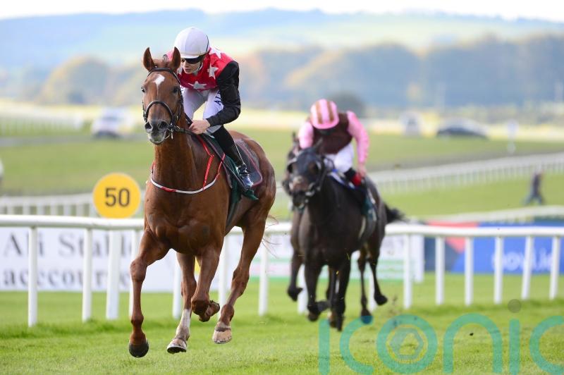 Hanlon has National ambition with new recruit Cape Gentleman