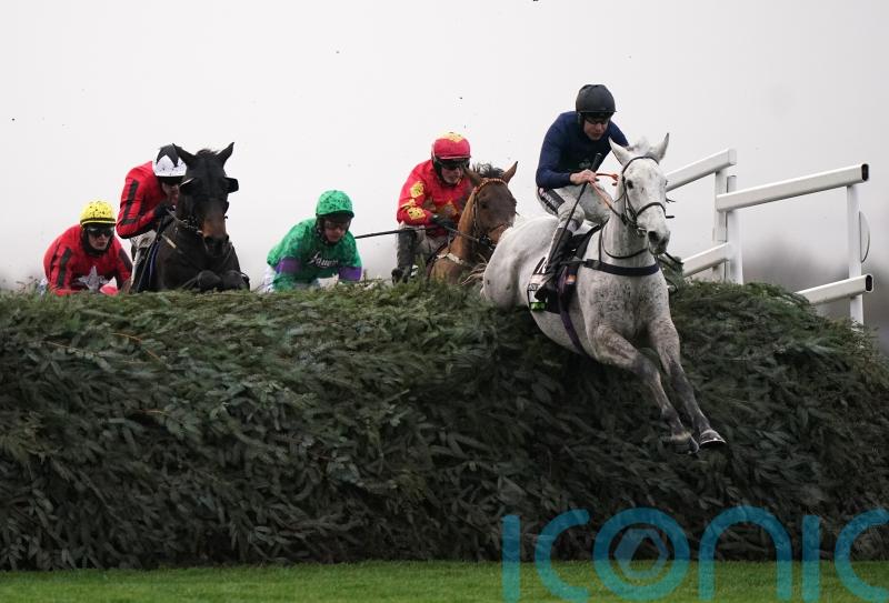 Snow Leopardess preparing for Becher Chase defence