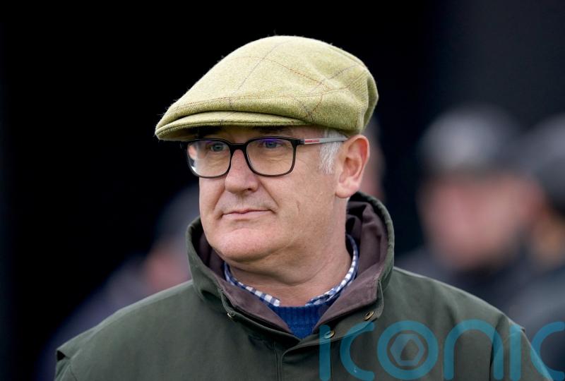 Smart prospect Maximilian could go to Cheltenham, with options limited