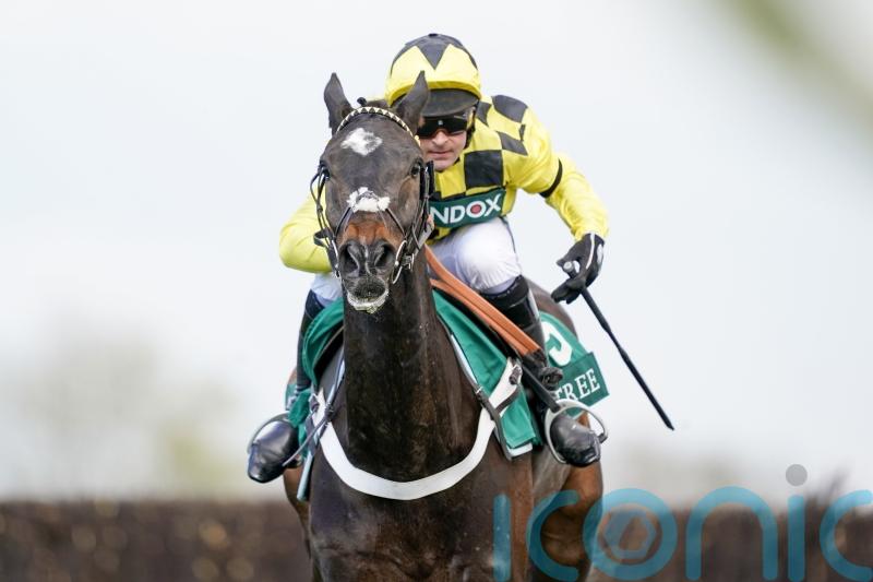 Shishkin highlights seven hopefuls for Tingle Creek clash