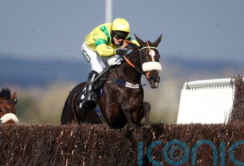 Bailey thrilled with Happygolucky return