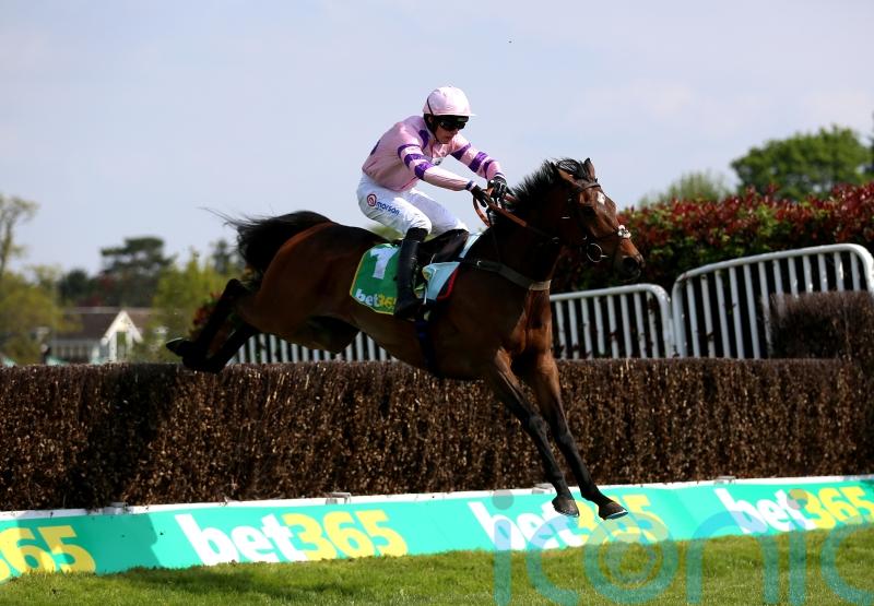 Greaneteen ready for Tingle Creek defence against Shishkin and company