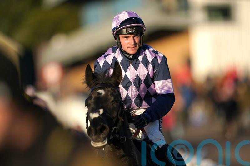 Credrojava shines on Fontwell hurdles bow