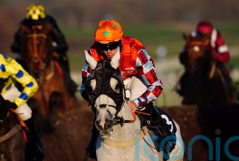 Oskar takes a starring role at Cheltenham