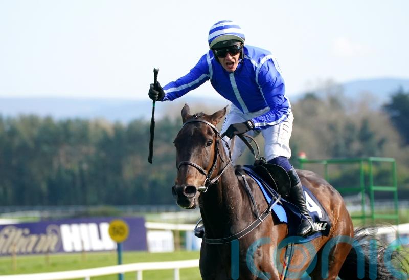 Energumene due to return at Cork