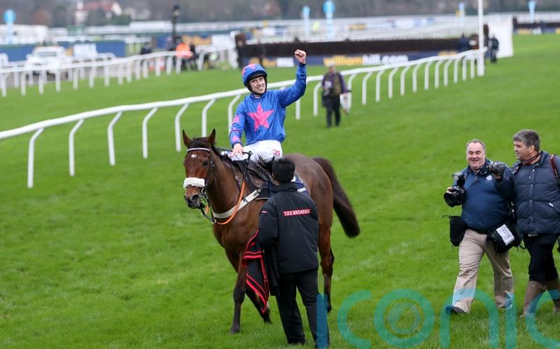 Luke Harvey to take the reins as Cue Card makes Kempton cameo