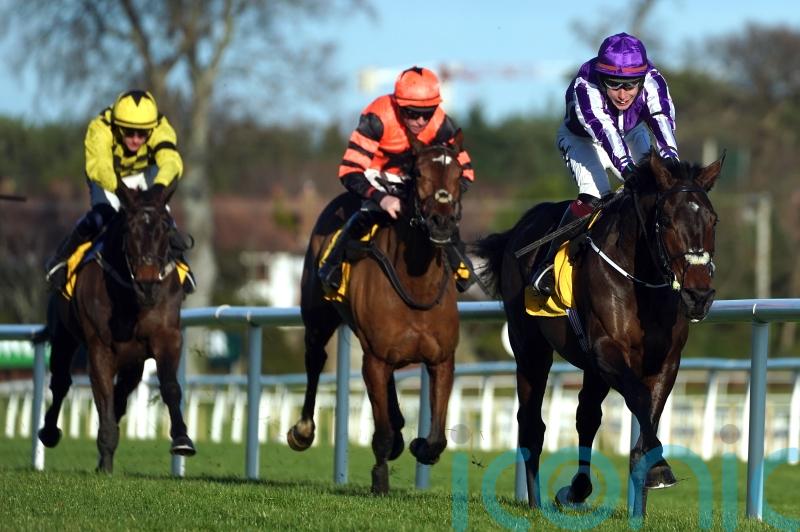 High Definition makes no mistake on jumping debut