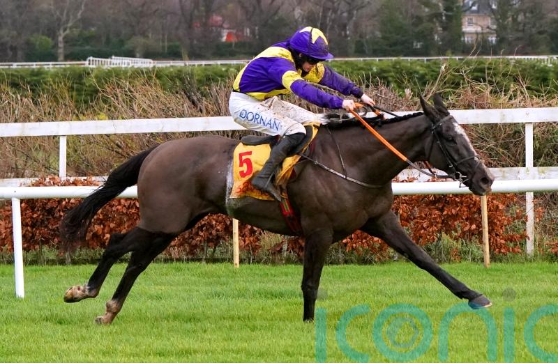 Deep Cave provides minor consolation for De Bromhead team