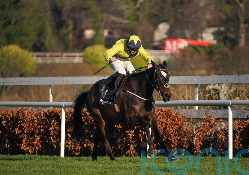 Leopardstown return on the cards for Good Land