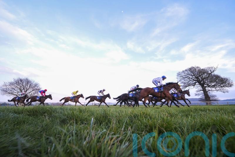 Nicky Martin ends big week with 200-1 surprise at Taunton