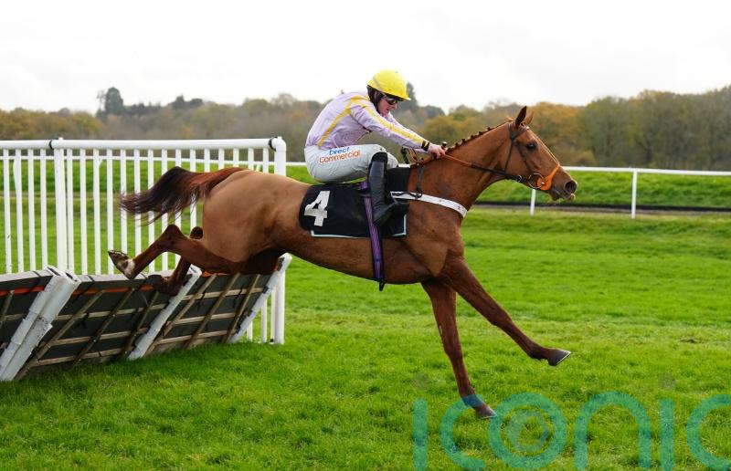 Luccia and Authorised Speed on course for Tolworth showdown