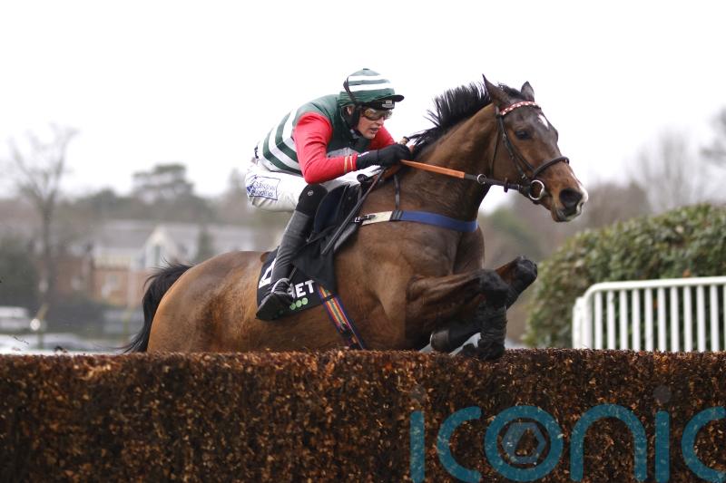 Xcitations gives Pam Sly plenty to celebrate at Sandown