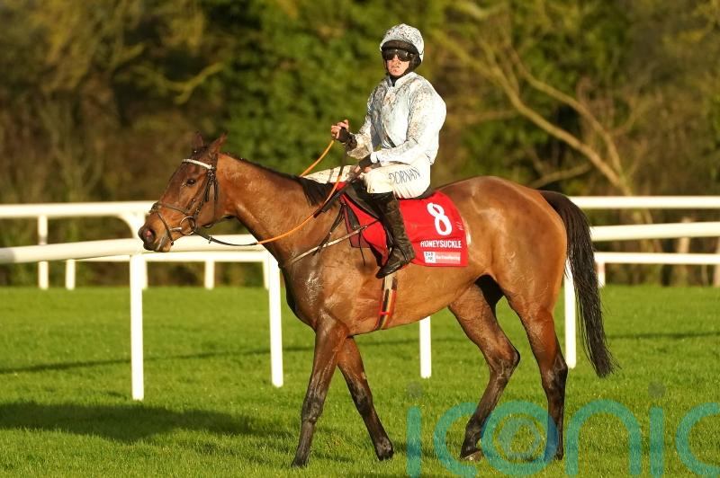 Irish Champion Hurdle to determine Honeysuckle future