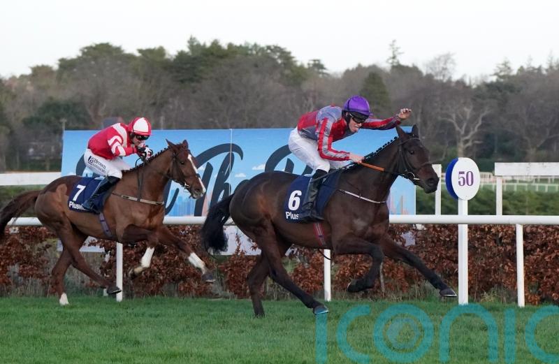 All options open for exciting bumper performer Fascile Mode