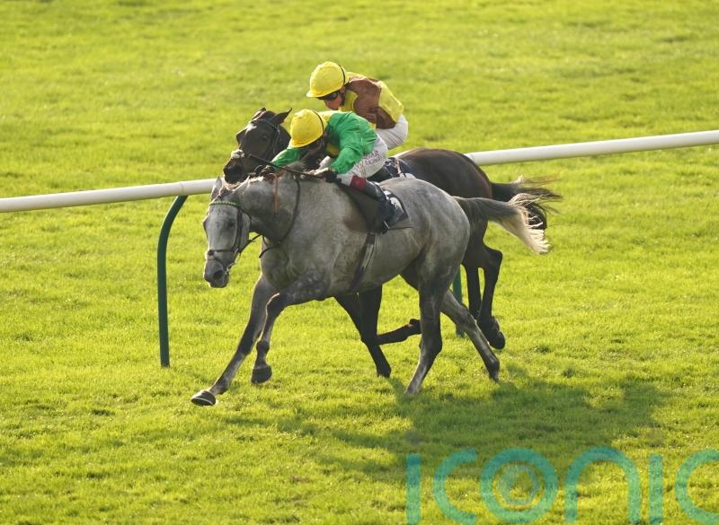 Buzz given Cheltenham entry as he continues on comeback trail