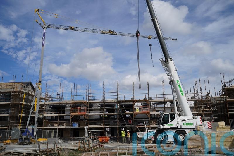 Number of HAP houses available to rent stood at 41